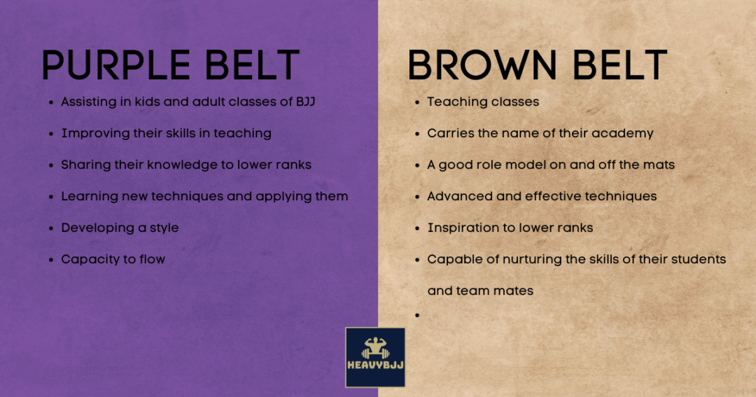 BJJ Brown Belt What You Should Know For This Belt HeavyBJJ