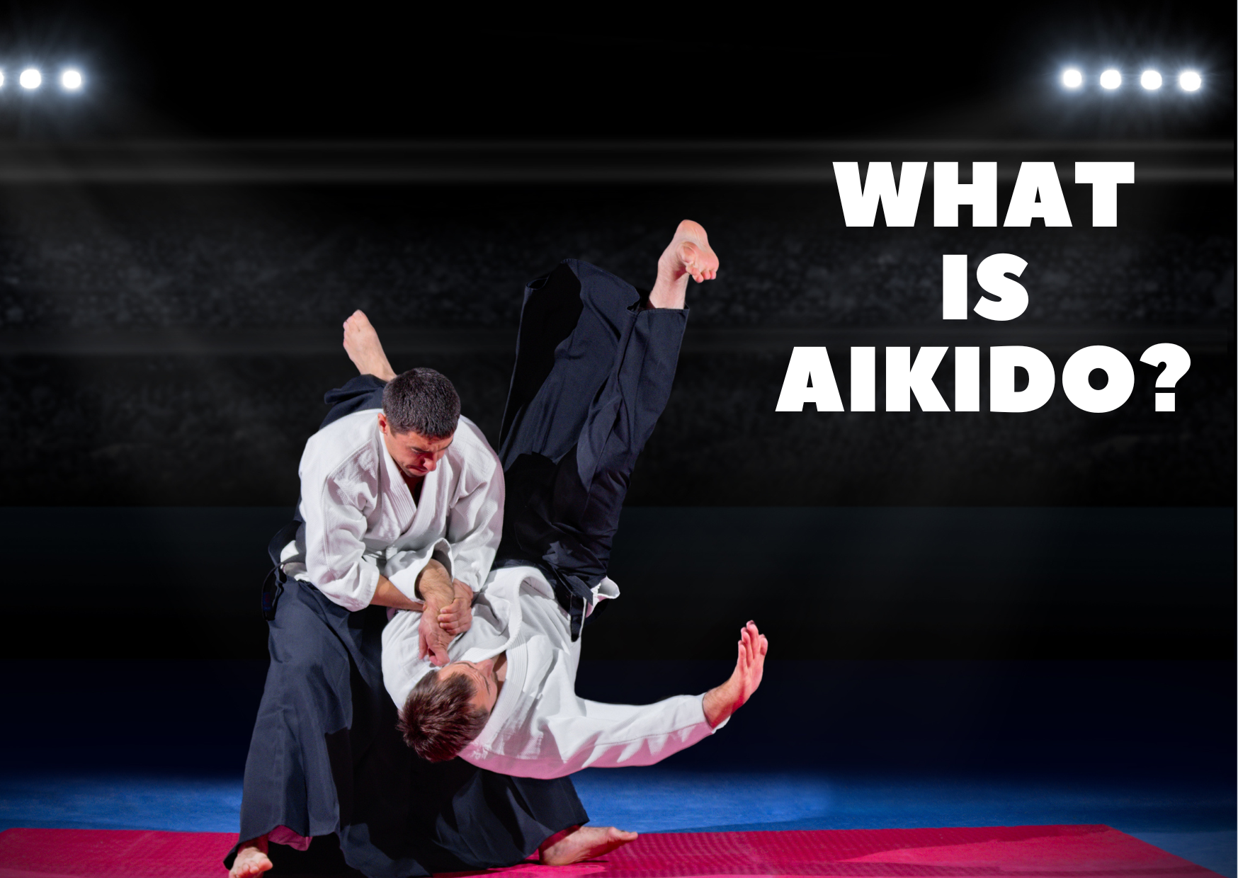 Judo Vs Aikido (Which Is Better?) HeavyBJJ