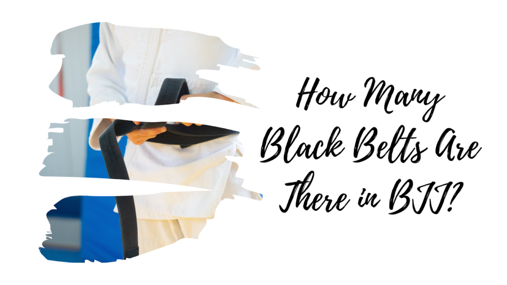 How Many Black Belts Are There in BJJ? (Full Statistics Breakdown