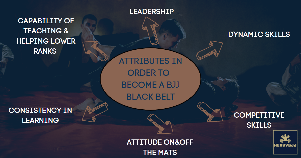 How Dangerous is a Brown Belt in Brazilian Jiu Jitsu? HeavyBJJ