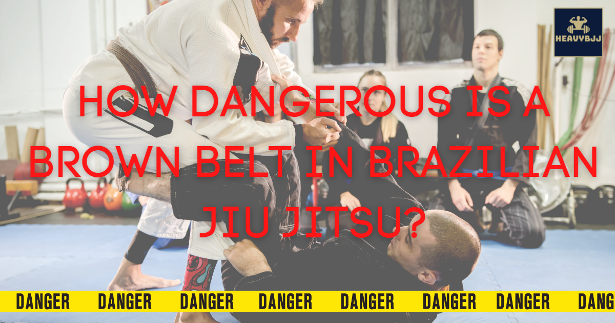 How Dangerous is a Brown Belt in Brazilian Jiu Jitsu? HeavyBJJ